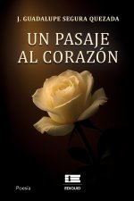 Un pasaje al corazón