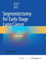 Segmentectomy for Early-Stage Lung Cancer