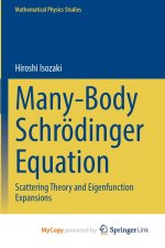 Many-Body Schrödinger Equation