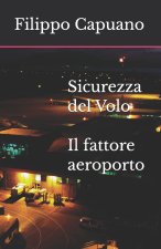 Sicurezza del Volo