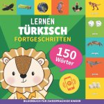 Türkisch lernen - 150 Wörter mit Aussprache - Fortgeschritten