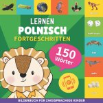 Polnisch lernen - 150 Wörter mit Aussprache - Fortgeschritten