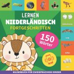 Niederländisch lernen - 150 Wörter mit Aussprache - Fortgeschritten