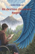 UN DESTINO CHIAMATO ANGELO