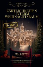Zärtlichkeiten unterm Weihnachtsbaum | 6 Erotische Geschichten | Liebe Lust & Sex