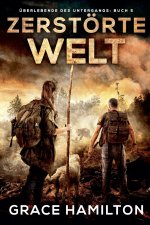Zerstörte Welt