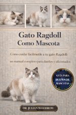 EL GATO RAGDOLL COMPLETO COMO MASCOTA