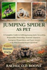 JUMPING SPIDER AS PET