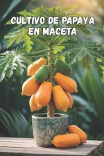 Cultivo de papaya en maceta