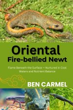 ORIENTAL FIRE-BELLIED NEWT