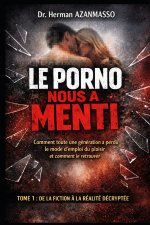 LE PORNO NOUS A MENTI