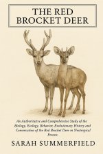 The Red Brocket Deer
