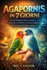 AGAPORNIS IN 7 GIORNI