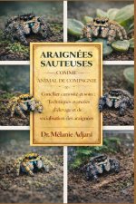 ARAIGNÉES SAUTEUSES COMME ANIMAL DE COMPAGNIE