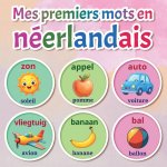 Mes premiers mots en néerlandais