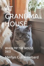 AT GRANDMA HOUSE
