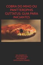 COBRA DO MIHO OU PANTTEROPHIS GUTTATUS