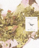 Weather and the Whale
