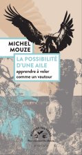 La possibilité d'une aile