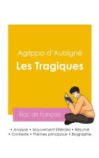 Réussir son Bac de français 2026 : Analyse du recueil Les Tragiques de Agrippa d'Aubigné