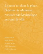 Le passé est dans la place : l’histoire de Mulhouse revisité