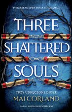 Three Shattered Souls. Trzy Udręczone Dusze. Tom 3