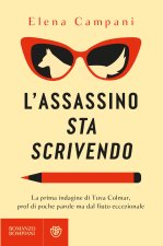assassino sta scrivendo