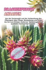 Drachenfrucht anbauen