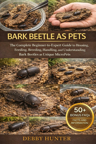 BARK BEETLE AS PETS