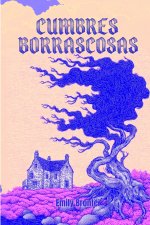 Cumbres Borrascosas