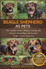 BEAGLE SHEPHERD AS PETS