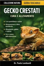 Gecko Crestati (Cura e Allevamento)