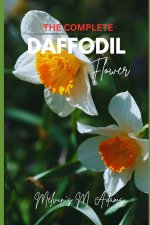 The complete Daffodil flowers