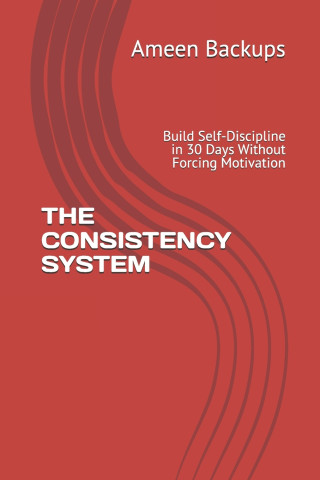 THE CONSISTENCY SYSTEM