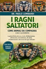I Ragni Saltatori come Animali da Compagnia (Cura e Allevamento)