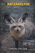 BAT-EARED FOX