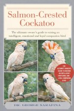 SALMON-CRESTED COCKATOO