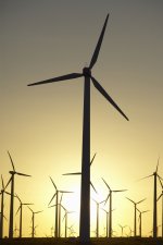 Beyond the Tariff
