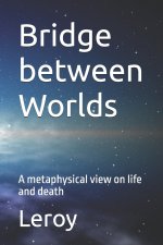 Bridge between Worlds