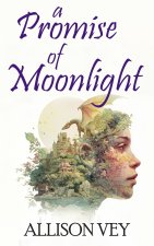A Promise of Moonlight