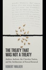 THE TREATY THAT WAS NOT A TREATY