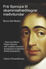 Frá Spinoza til skammtafræðilegrar meðvitundar.