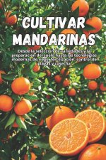 Cultivar mandarinas