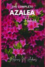 The complete azalea flower