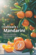 Coltivare i mandarini