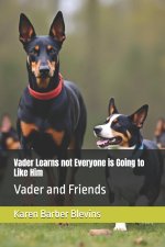 Vader Learns not Everyone is Going to Like Him
