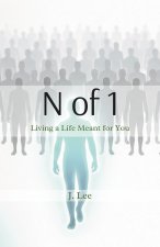 N of 1