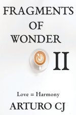 FRAGMENTS OF WONDER II