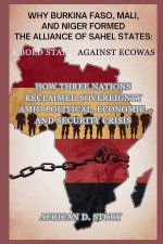 Why Burkina Faso, Mali, and Niger Formed the Alliance of Sahel States