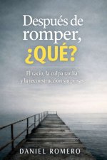 Después de romper, ¿Qué?